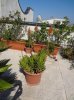 DSC00590R.jpg