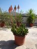 DSC00591.jpg