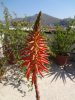 DSC00589.jpg