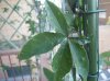 DSCN3766.jpg