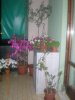 DSCN1723.jpg