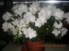DSCN1724.jpg