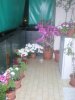 DSCN1722.jpg