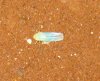 IMG_0774.jpg