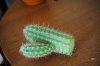 cactus tagliato 001.jpg