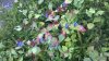 WP_20180831_12_23_21_Pro.jpg