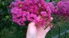 WP_20180831_12_42_29_Pro.jpg