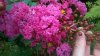 WP_20180831_12_42_39_Pro.jpg