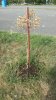 IMG-20180814-WA0003.jpg IMG-20180814-WA0003.jpg