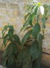 IMG_20180908_155327-1.jpg