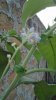 IMG-20180908-WA0002.jpg