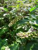 20180913_163755.jpg 20180913_163755.jpg