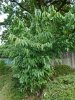 thumbnail_DSCN1130.jpg