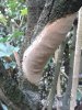 20180916_173732.jpg