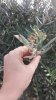 20180920_085756.jpg