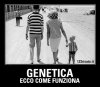 genetica.jpg