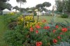 giardinoselvatico2_04.jpg