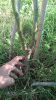 20181003_152201_resized.gif