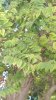 P_20180930_145009_vHDR_Auto.jpg