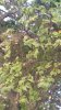P_20180930_144957_vHDR_Auto.jpg