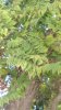 P_20180930_145011_vHDR_Auto.jpg