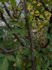 DSCN1509.JPG