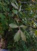 DSCN1510.JPG