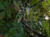 DSCN1511.JPG