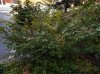 DSCN1514.JPG