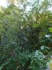 DSCN1522.JPG