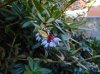 DSCN1530.JPG