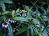 DSCN1533.JPG