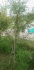 20181005_144409_resized.gif