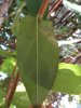 IMG_1050.JPG