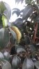 20181007_104038.jpg