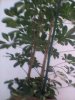 20180718_114502.jpg