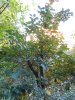 DSCN1607.JPG
