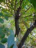 DSCN1608.JPG