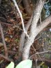 DSCN1616.JPG