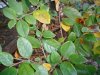 DSCN1617.JPG