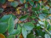 DSCN1618.JPG