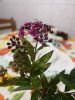 IMG_20181013_213505.jpg