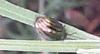 upload_2018-10-17_8-38-51.png upload_2018-10-17_8-38-51.png