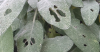 upload_2018-10-17_8-39-23.png upload_2018-10-17_8-39-23.png