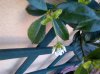 IMG-20120619-00053.jpg