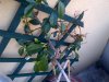 IMG-20120619-00050.jpg