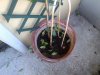 IMG-20120619-00051.jpg