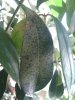 IMG_20120617_094107.jpg