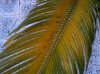 20120620-00130.jpg