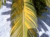 20120621-00133.jpg